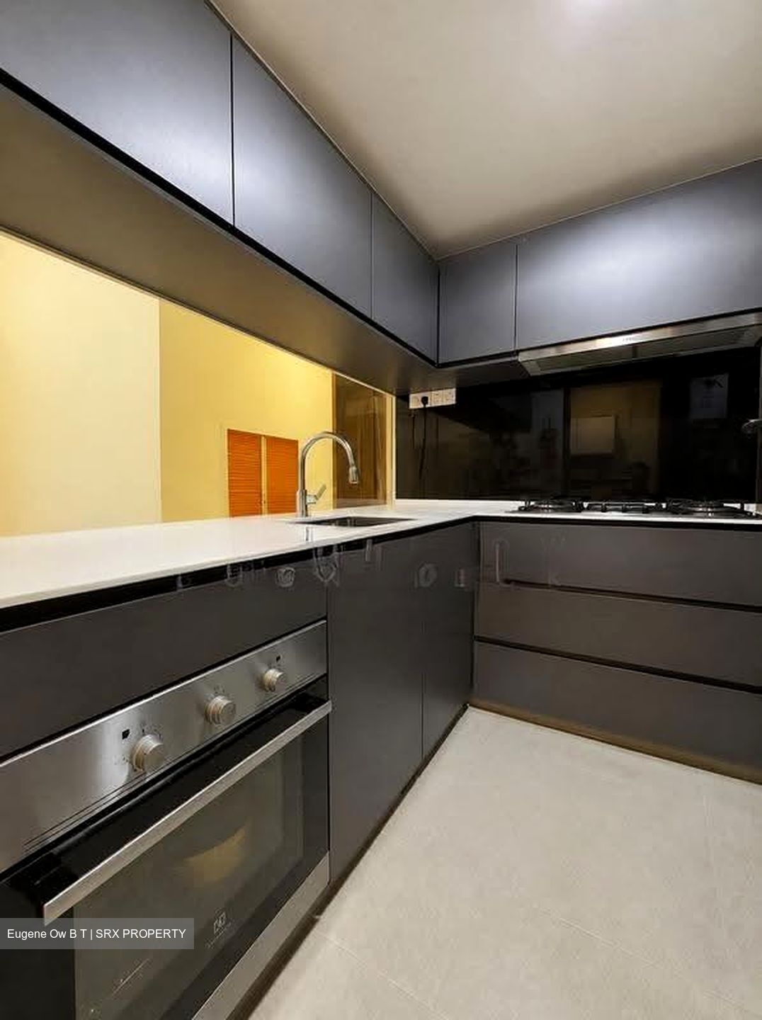Ecopolitan (D19), Condominium #635465211